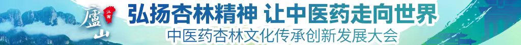 医院强奸站长工具中医药杏林文化传承创新发展大会